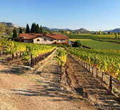 Heitz Cellar-赫兹酒窖