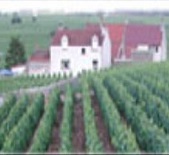 Domaine Bruno Clair-布鲁诺·克莱尔酒庄