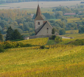 Domaine Zind-Humbrecht-鸿布列什酒庄