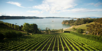 Man O' War Vineyards-门欧沃酒庄