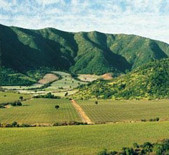 Vina Caliterra-圣地酒庄