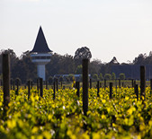 Mitchelton Wines-米其顿酒庄