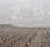 Domaine Cecile Tremblay-塞西尔·特仑布雷酒庄