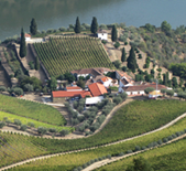 Prats & Symington-普拉茨酒庄