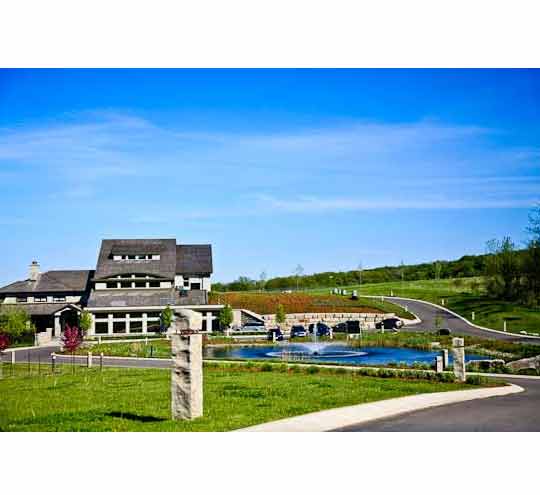 Tawse Winery-陶思酒庄