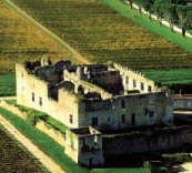 Chateau de Fargues-法歌酒庄