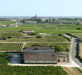 Chateau Moulin du Cadet-加迪磨坊酒庄 