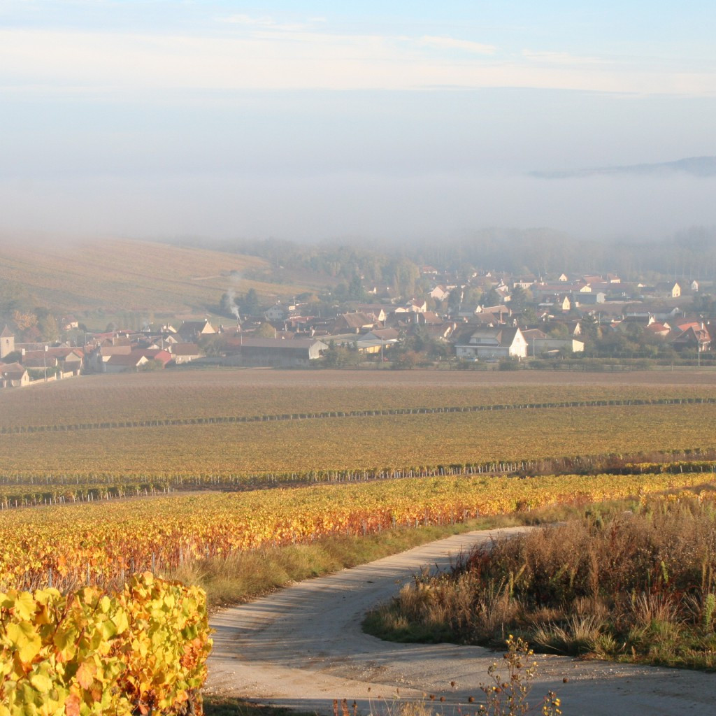 Domaine Fourrey-馥睿酒庄