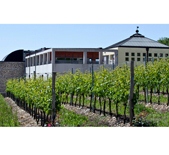 Campagnola-坎帕尼奥拉酒庄 