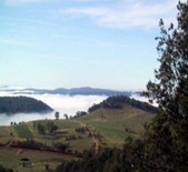 Pulpit Rock Estate Wines-布道石酒庄