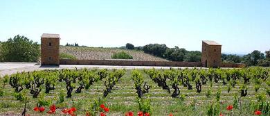Domaine de la Solitude (Chateauneuf du Pape)-幽居酒庄