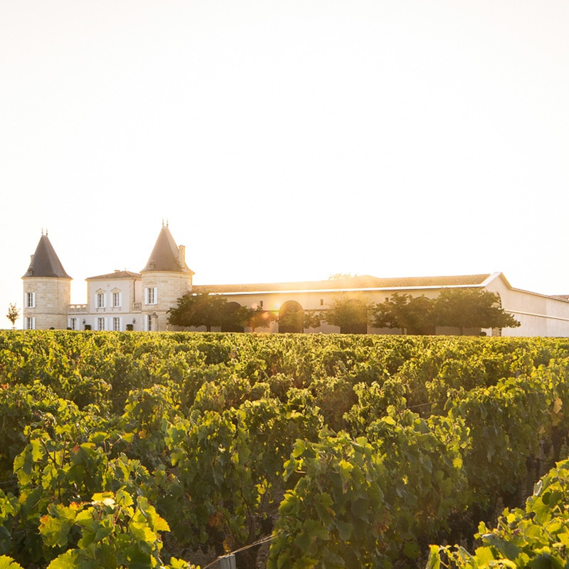 Chateau Lilian Ladouys-骊兰古堡