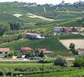 Paolo Scavino-宝维诺酒庄 