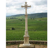 Domaine Bonneau du Martray-马特莱酒庄