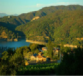 Black Ridge Vineyard-黑脊酒庄