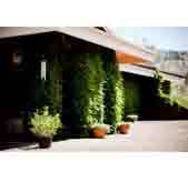 Blue Mountain Winery-蓝山酒庄 