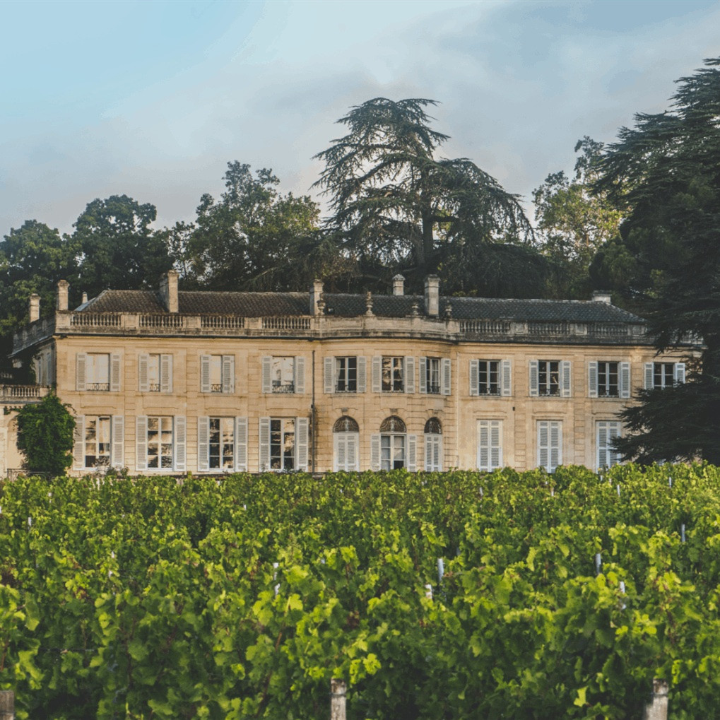 Chateau du Taillan-太阳堡酒庄
