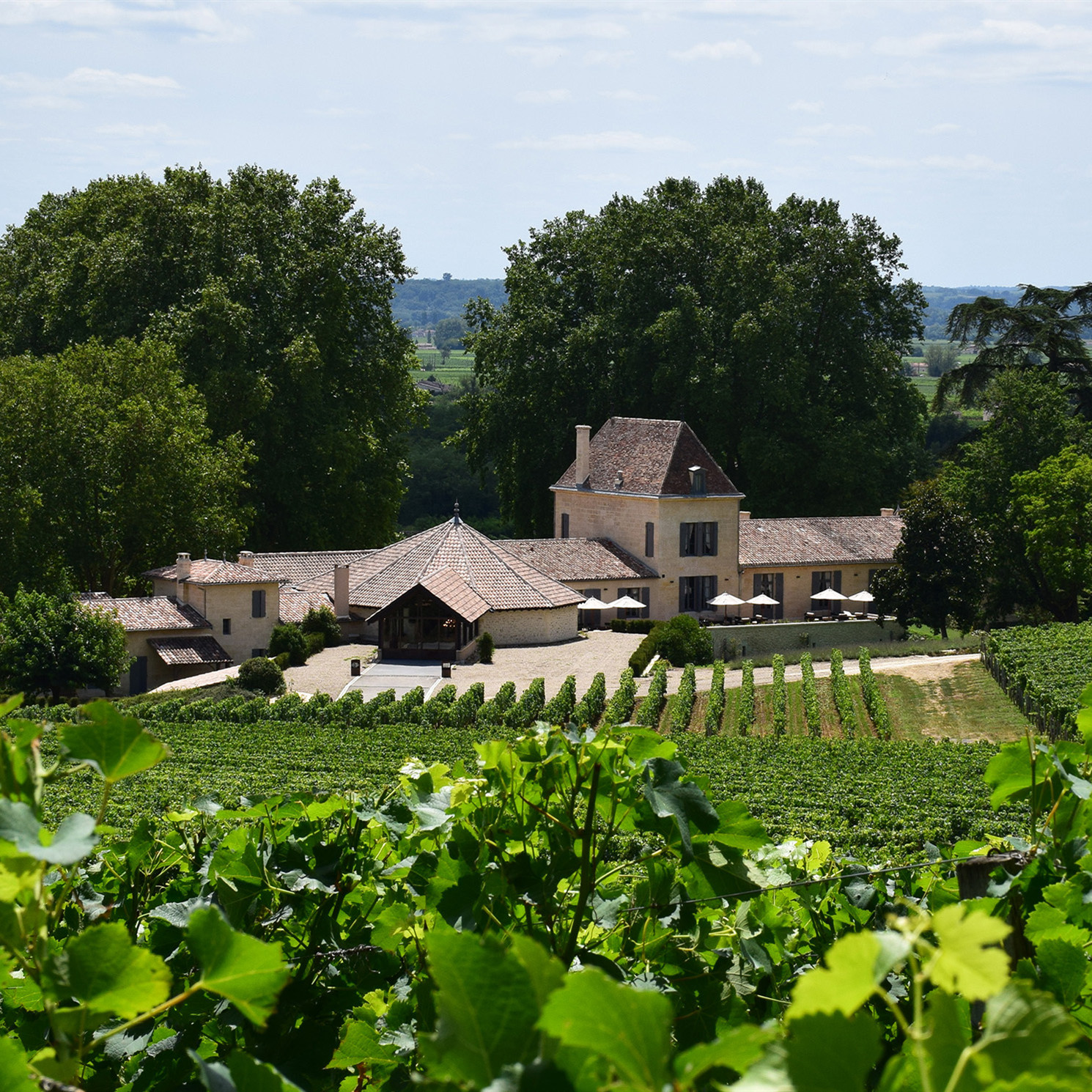 Chateau Bellefont-Belcier-贝勒芬酒庄