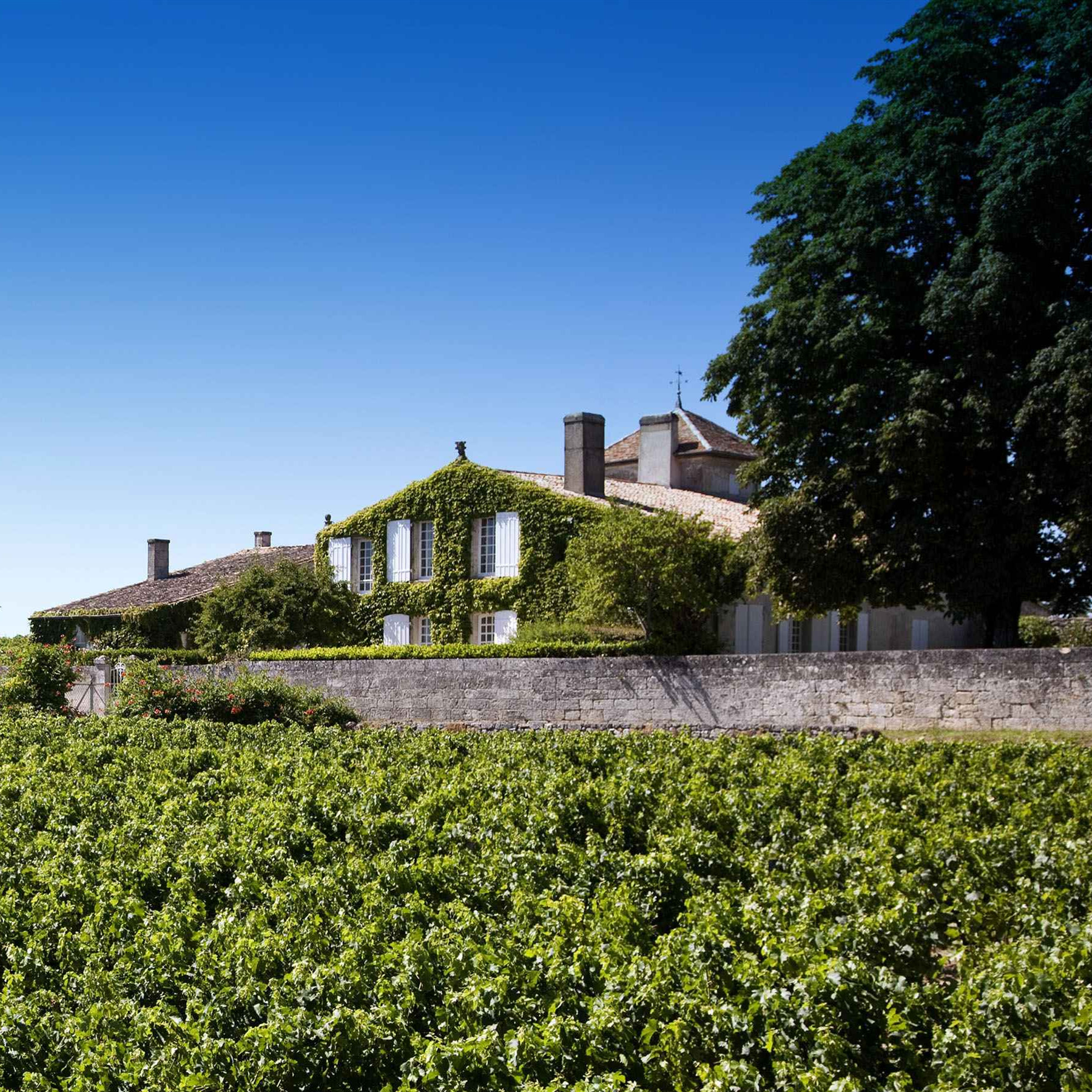 Chateau La Serre-拉赛尔酒庄