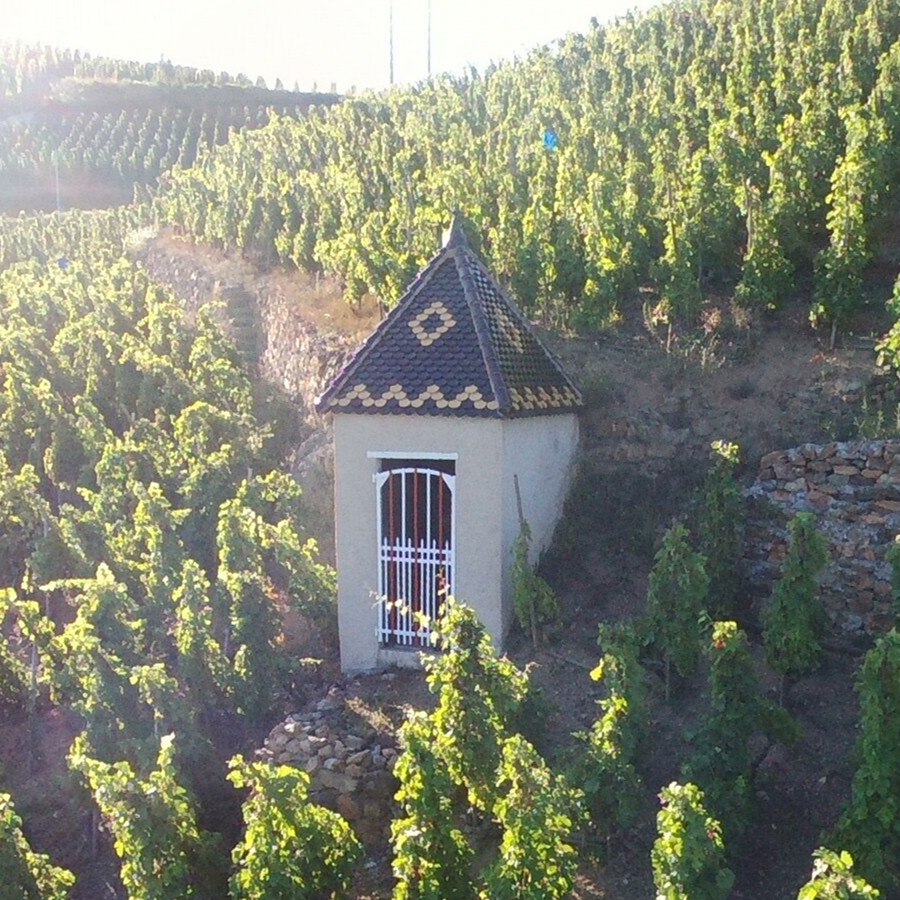 Domaine Rostaing-罗塞腾酒庄