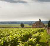 Domaine Clos de la Chapelle-拉夏贝尔园酒庄