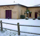 Chateau La Fleur Morange-莫朗酒庄