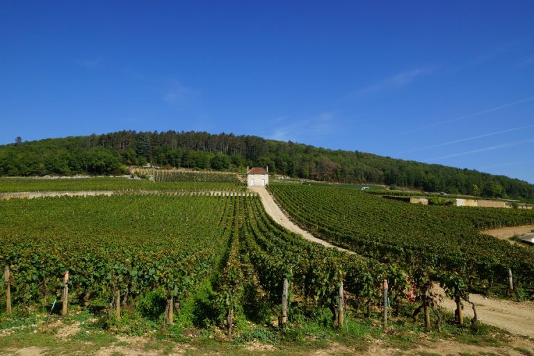 Domaine des Varoilles-瓦罗耶酒庄