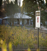 Sorby Adams-苏比亚当酒庄 