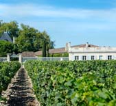 Chateau Paveil de Luze-柏菲露丝酒庄