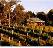 Fox Creek Wines-狐狸湾酒庄 