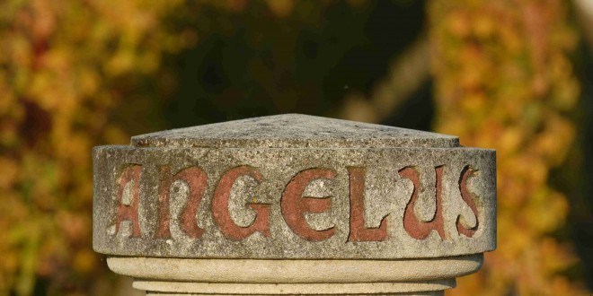 金钟酒庄：凝聚8代人心血的名庄