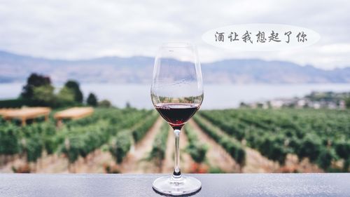 附近哪里有收啤酒瓶的