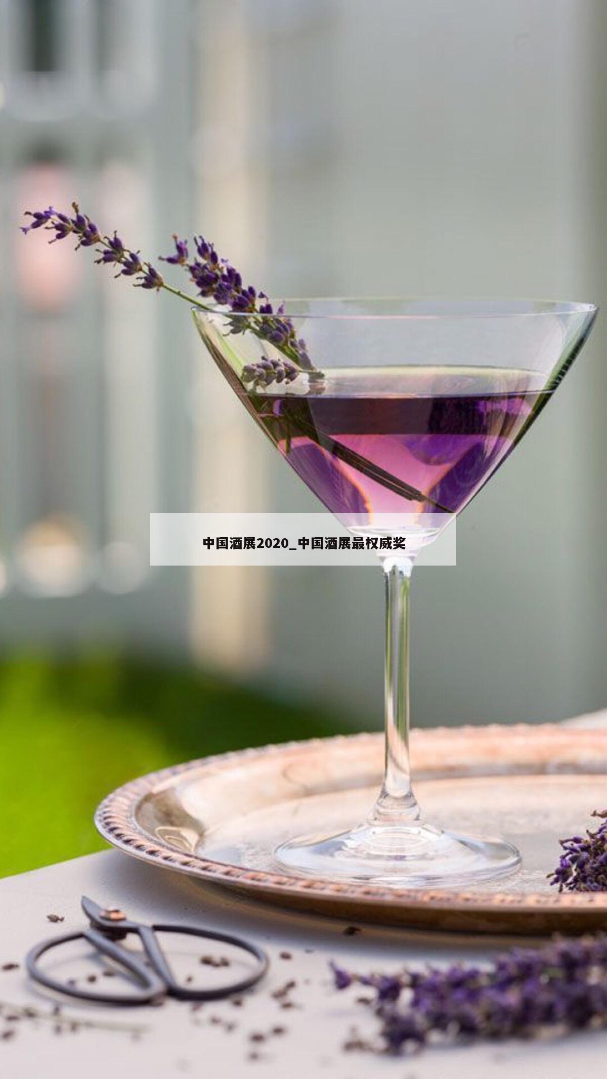 中国酒展2020_中国酒展最权威奖