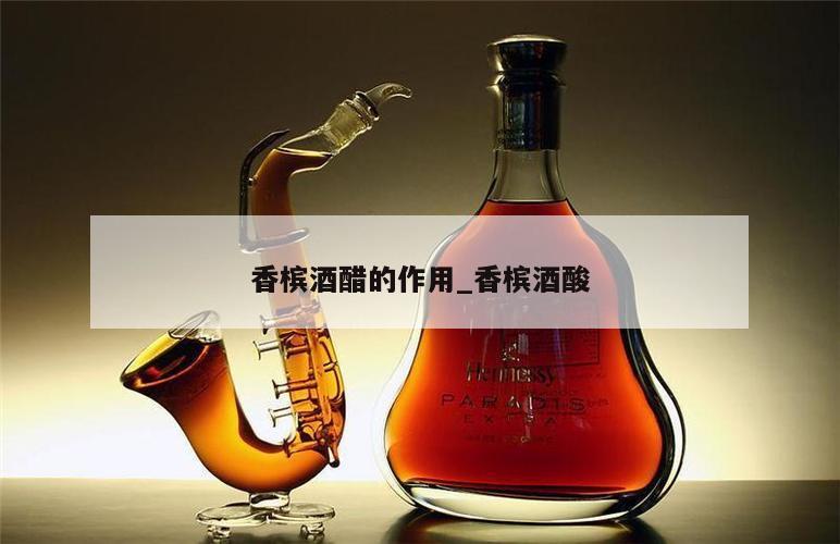 香槟酒醋的作用_香槟酒酸 