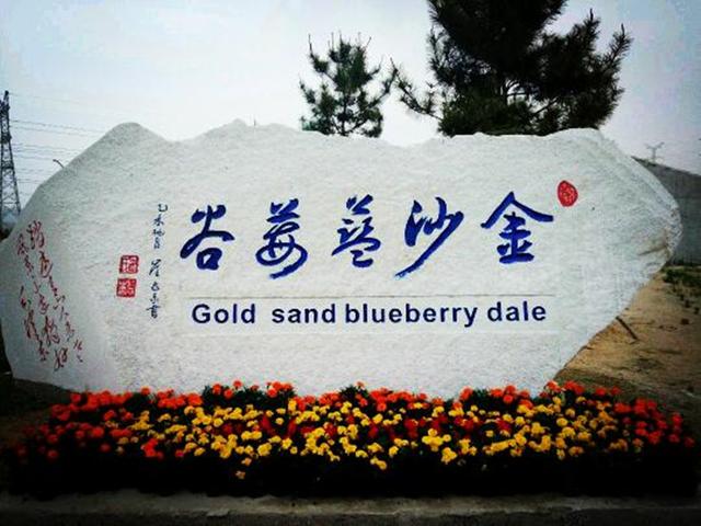 荣臻东方蓝：陈辉与蓝莓酒有着不解之缘。