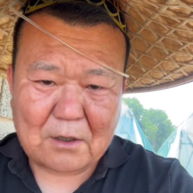 农村蓝莓多少钱一斤，蓝莓酒好喝#三农