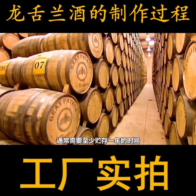 #龙舌兰酒酿造过程 