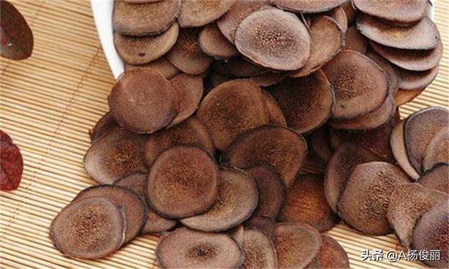 真泉良杨俊利：家用小酿酒设备，鹿茸泡酒的方法