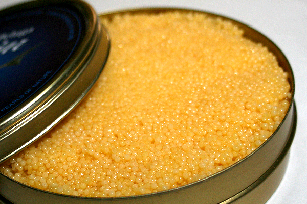 全球美食榜：十大最昂贵美食