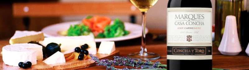 干露侯爵开启美酒美食之旅
