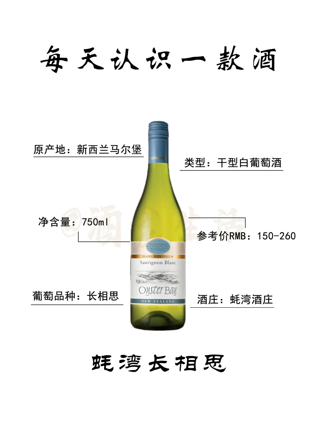 每天认识一款酒｜蚝湾长相思白葡萄酒 
