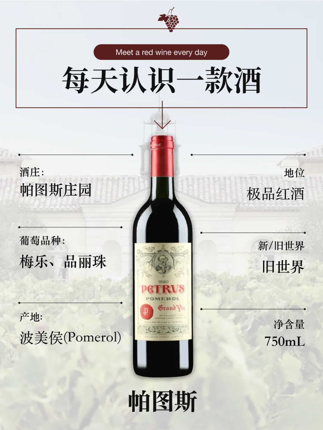 每天认识一款酒｜帕图斯
