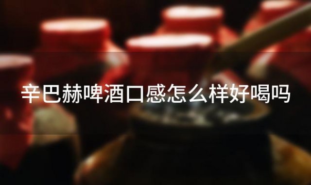 辛巴赫啤酒口感怎么样好喝吗「辛巴赫啤酒口感怎么样比利时的」