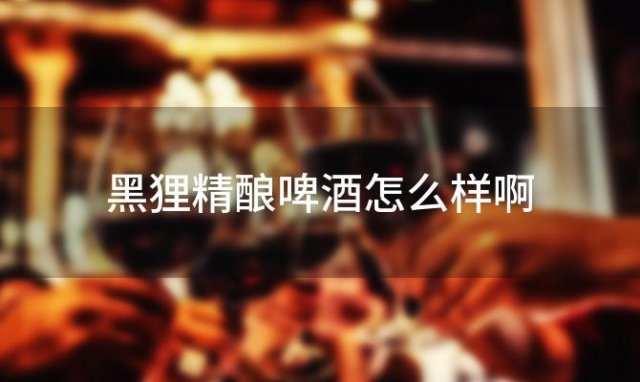 黑狸精酿啤酒怎么样啊 黑狸精酿啤酒怎么样好喝吗