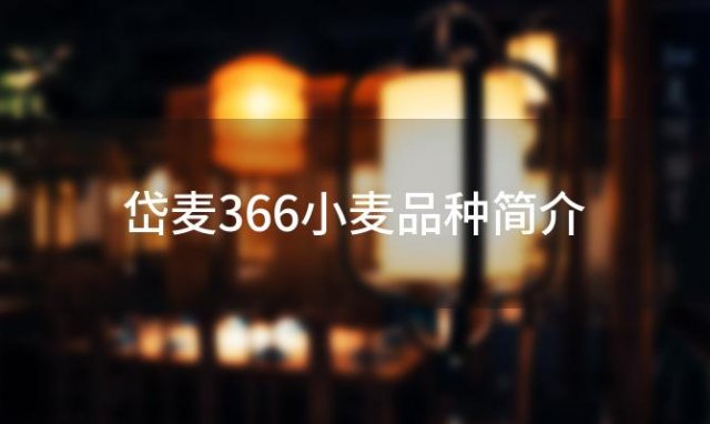 岱麦366小麦品种简介 岱麦4366小麦品种简介 