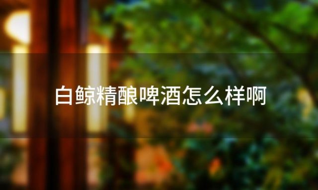白鲸精酿啤酒怎么样啊 