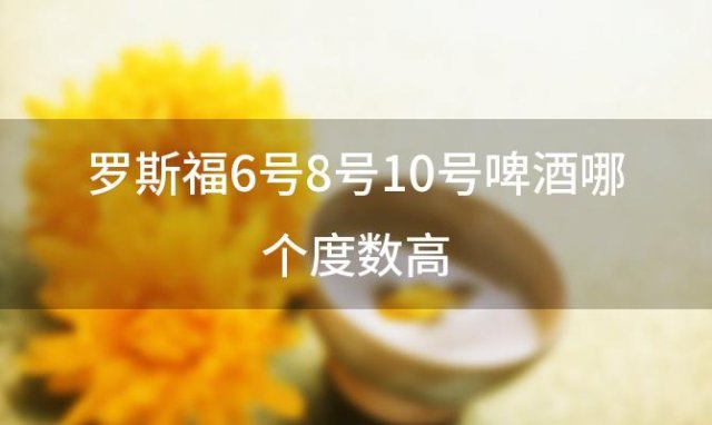 罗斯福6号8号10号啤酒哪个度数高「罗斯福6号8号10号啤酒区别」 