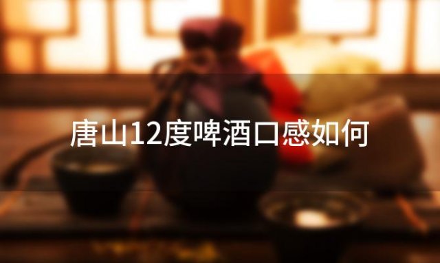 唐山12度啤酒口感如何「唐山12度啤酒适合哪些场合」