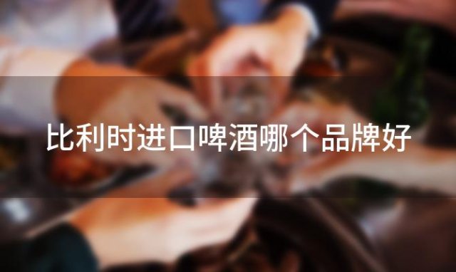比利时进口啤酒哪个品牌好，如何选购正宗的比利时进口啤酒