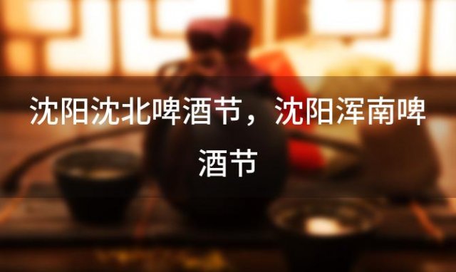 沈阳沈北啤酒节 沈阳浑南啤酒节